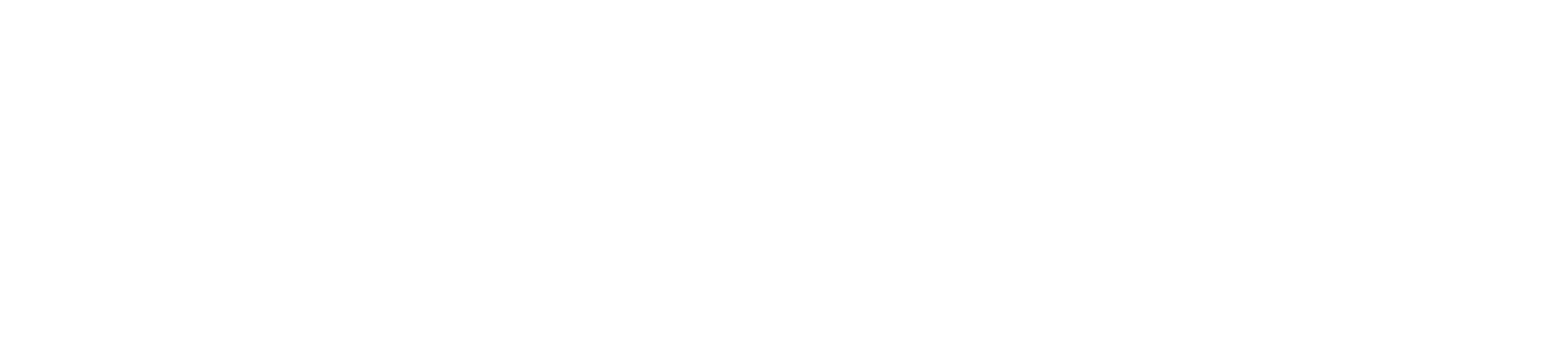 Sake Logo White